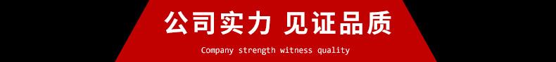 公司實(shí)力