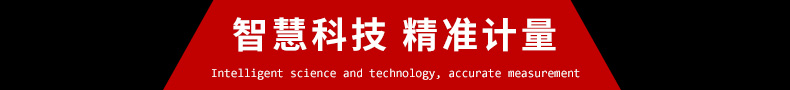 渦街流量計(jì)